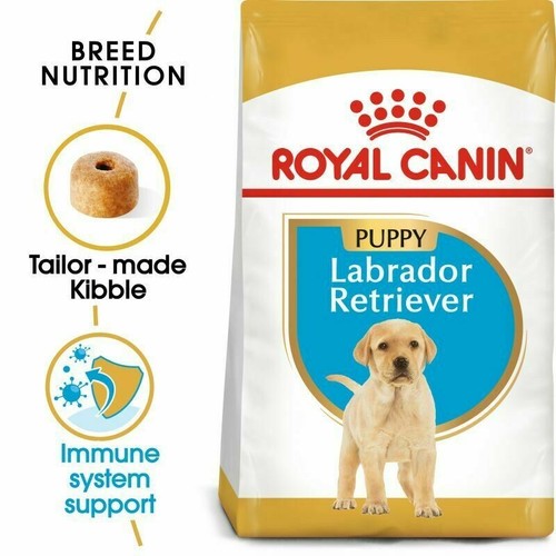Royal canin labrador - labrador, retriever