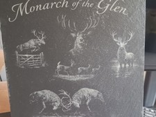 Red Deer Stag
