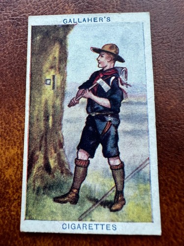 Gallaher cigarette card boy - cigarette,