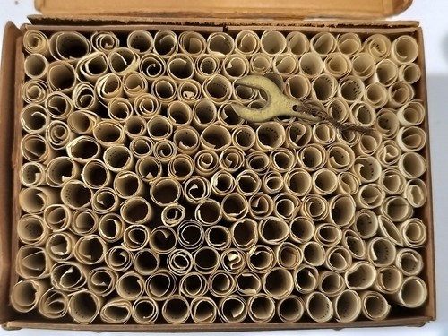 Antique victorian box - antique,