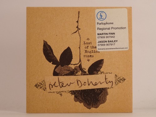 Peter doherty last the - last,