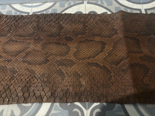 Burmese rock python snake skin - rock,