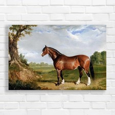 Majestic horse autumn - horse,