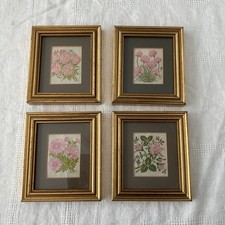 Framed Kensitas Moss Rose Michaelmas Daisy Thrift Sweet Sultan Cigarette Silks