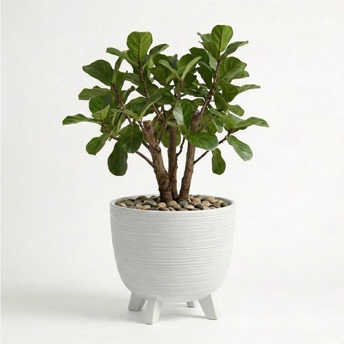 White plant pots with legs - with,