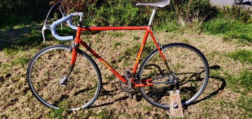 Gitane