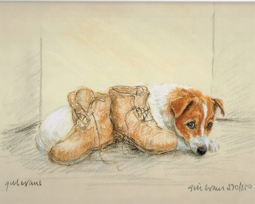 Jack russell terrier - terrier, print