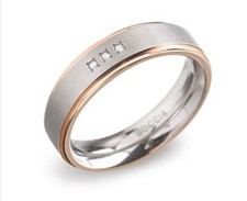 Boccia titanium ring 0134-02