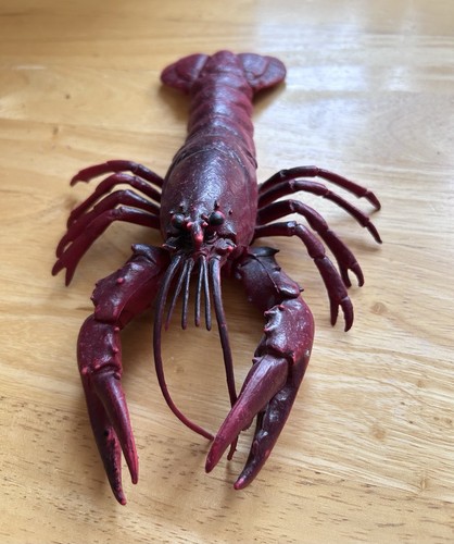 Lobster crawfish seafood - /,