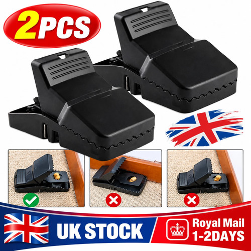 Pack xxl 21cm rat - 2,