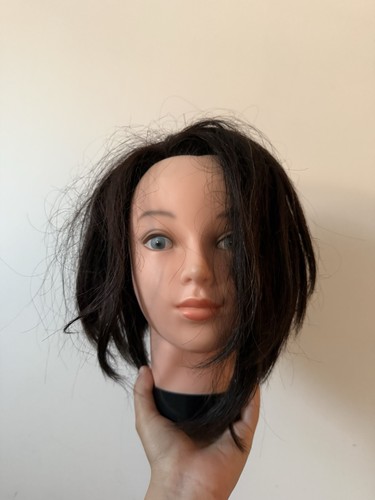 Female mannequin head possibly - mannequin,