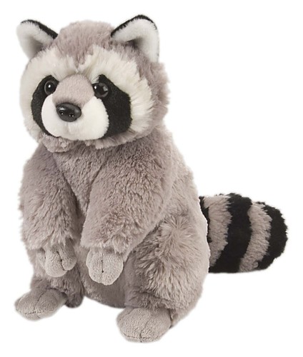 Raccoon soft teddy bear - teddy, toy