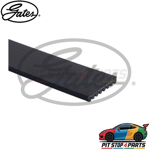 For polo alternator belt - vw,