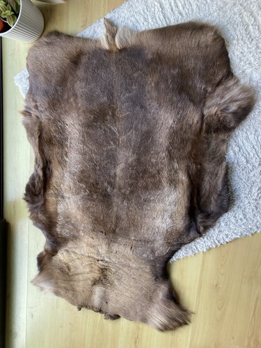 Genuine reindeer hide rug - hide,