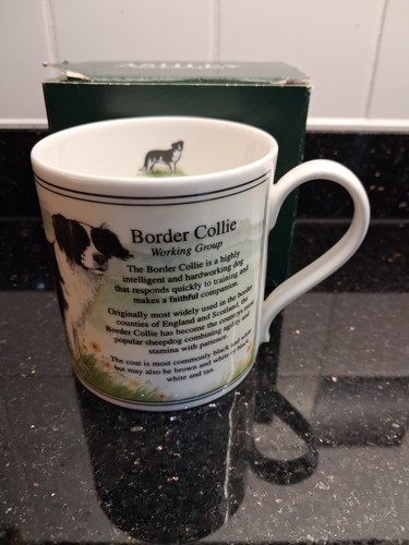 Ashley fine bone china mug - bone,