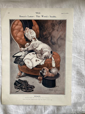 BONZO Dog  From 'The Sketch'  Magazine  1923  Drawn by  G.E.STUDDY  "Loyalty"