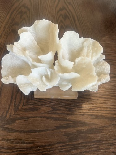 Coral ornament cream resin - cream,