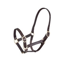 Shires Velociti GARA