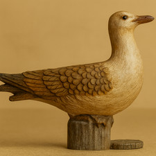 RC Boat Scale Seagull for Coastal, Waterfront A55