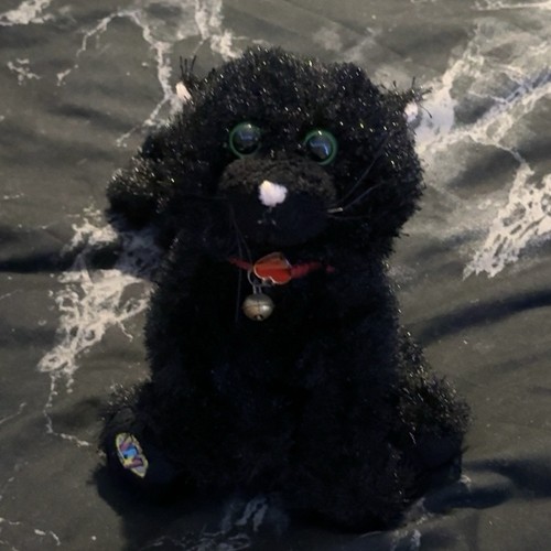 Ganz webkinz black cat plush - ganz,