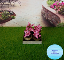 4 Miniature Potted Pink