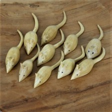 Pack of 10 Mice Mouse Fair