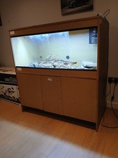 Bearded Dragon Enclosure