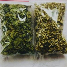 Dried Mexican Dream Herb Calea Zacatechichi 100% Organic Lucid Ceylon Herbal Tea