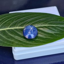 Natural Star Sapphire 6.90 Ct