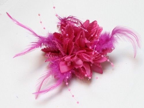 Fuchsia hot pink flower - pink,