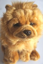 CHOW CHOW 12" TOY DOG, as it