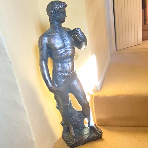 David male nude solid - david,