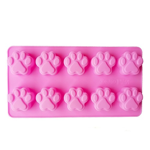 Puppy dog paw - paw, ice