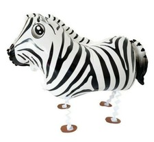Zebra - Animal/Pet Walking