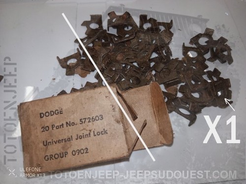Rear lock nut cc572603 - 1x,