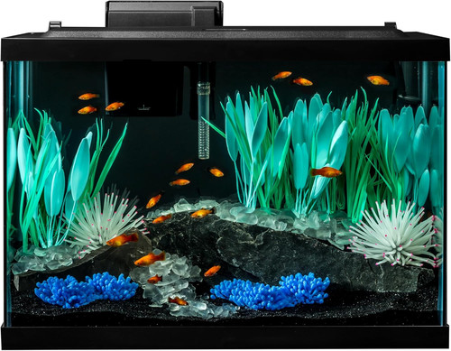 Gallon aquarium fish tank - 20,