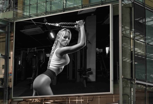 Sexy women gym poster wall - sexy,