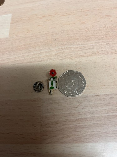 This enamel lapel pin - this,
