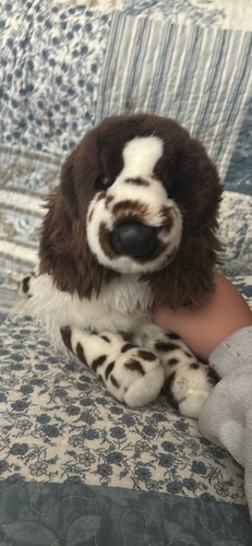 Retired douglas springer - douglas,