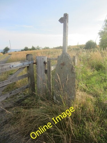 Photo 6x4 stone gate - 6x4,
