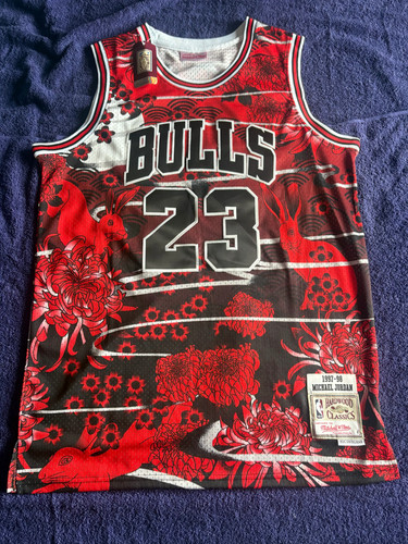 Chicago bulls nba hardwood - chicago,