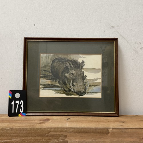 Original signed warthog - original,