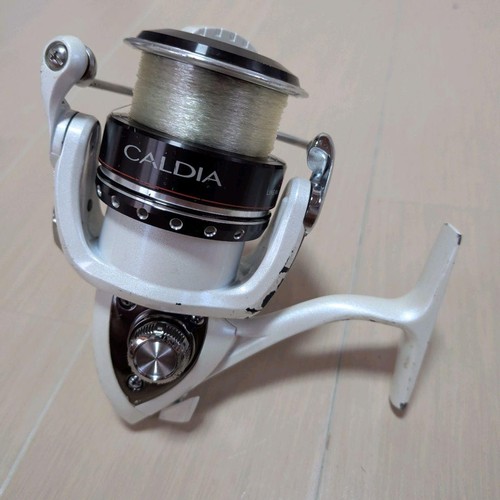 Daiwa caldia 3000 spinning - caldia,