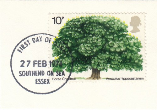 Horse chestnut tree - horse, gb