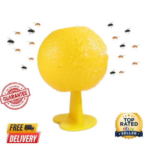 Fruit fly trap - fruit,