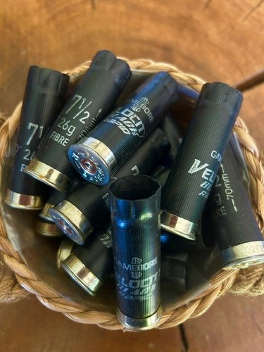 Spent shotgun cartridge - cartridge, cases