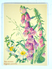 Villeroy Boch Vilbocard A55