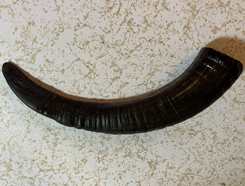 Black curved water - black, buffalo