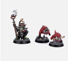 GW WH Rivals Mirrored City Goblin Zarbag’s Gitz Drizgit da squig herder *GREY