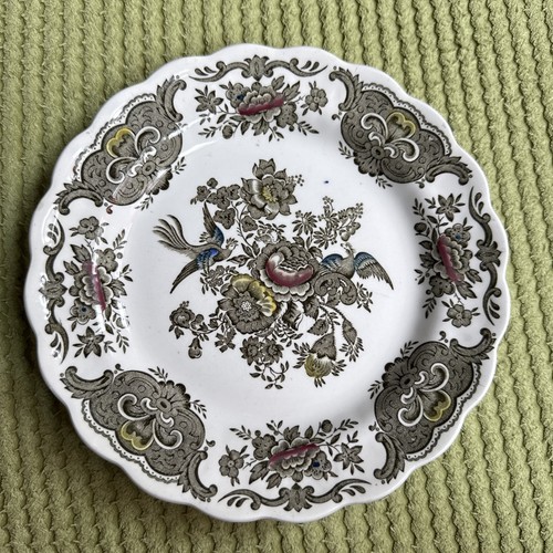 Windsor ridgway staffordshire - windsor,
